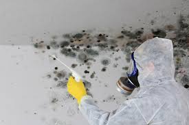 Best Commercial Mold Inspection  in Wd, AR